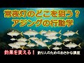 アジングは“ここ”を狙え！常夜灯で釣れる場所の核心【釣果が変わる】