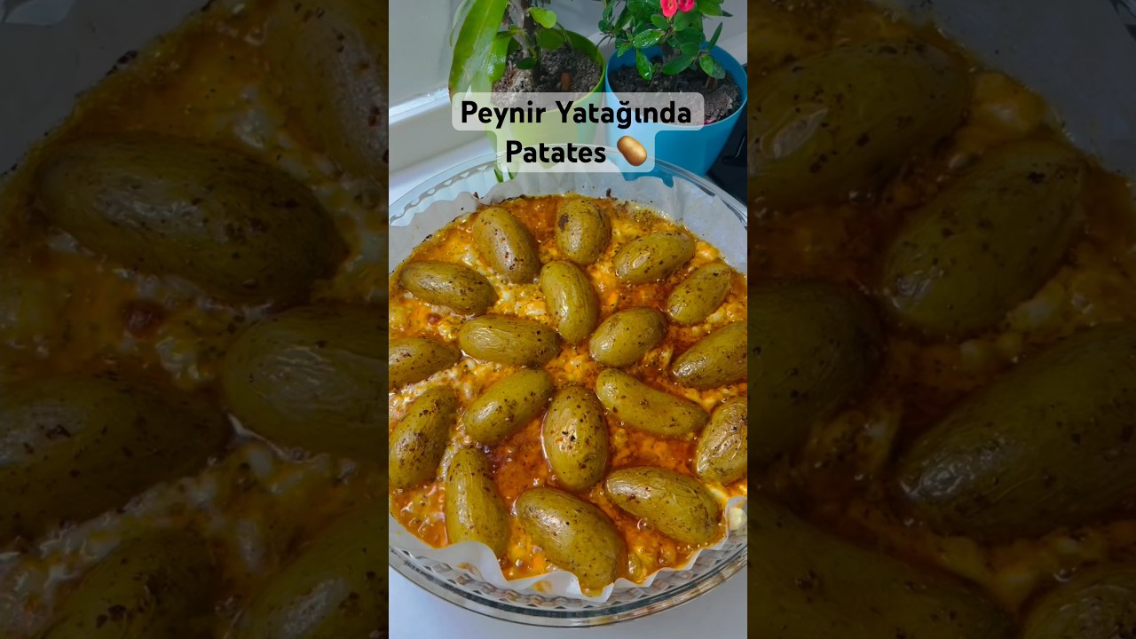 Peynir Yatağında Patates ???? #patates #yemeliklezzetler #tarif #pratiktarifler #recipe #rezepte