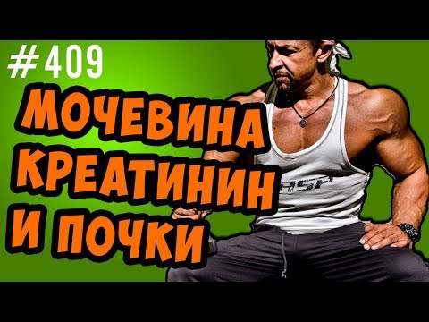 мочевина креатинин в крови и почки