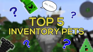 Top 5 Inventory Pets to use in Roguelike Adventures and Dungeons - Inventory Pets