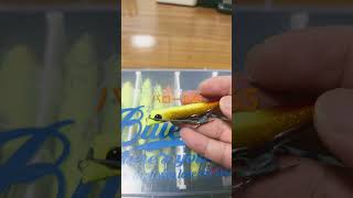 バロール65を眺める #fishing #music