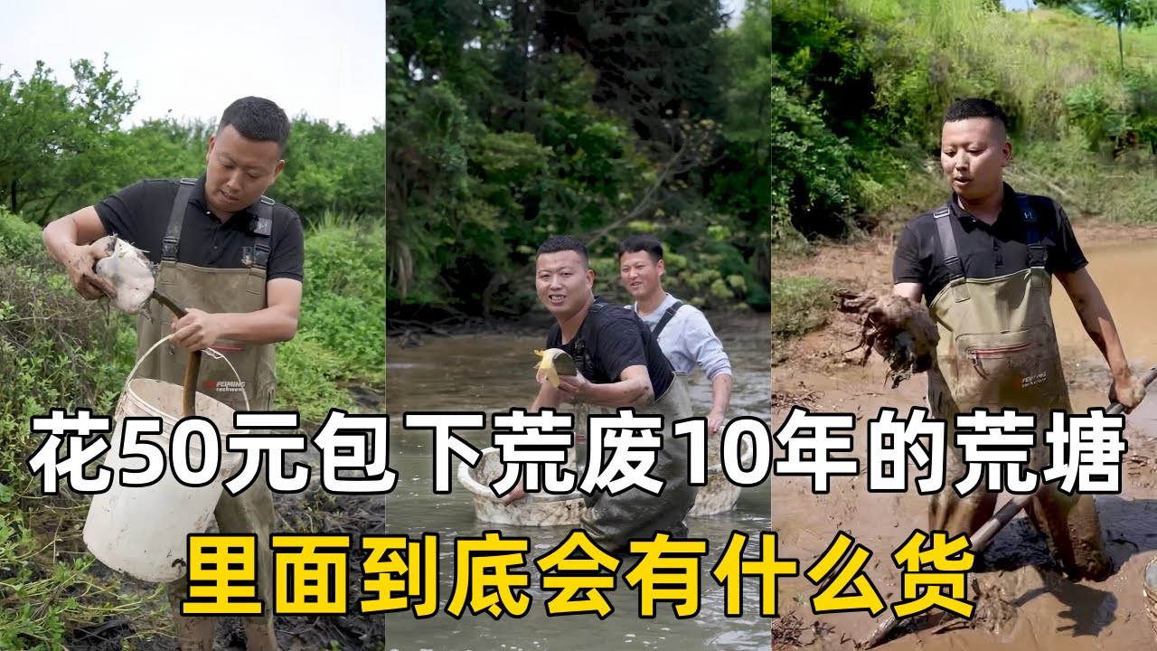 小飞哥花50元包下荒废10多年的荒塘，里面到底会有什么货？｜花2000元包下放好水的大山塘，看看里面会有多少鱼？