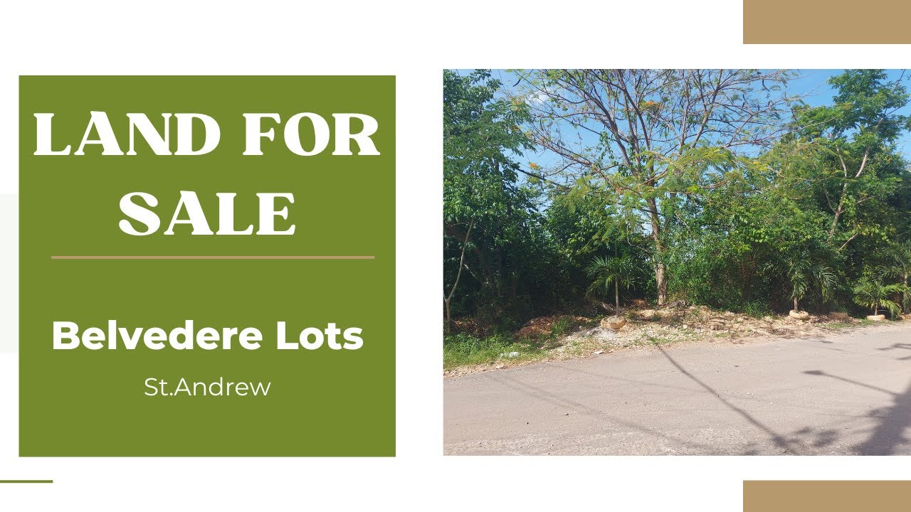 Belvedere Red Hills St. Andrew Lots For Sale Jamaican Real Estate
