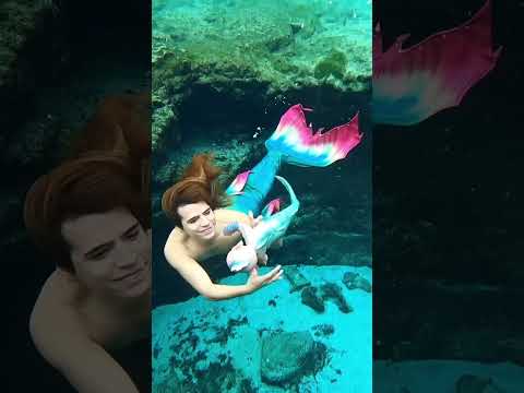 Swimming around with