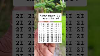 How Many 21 Are There search brainteaser shorts