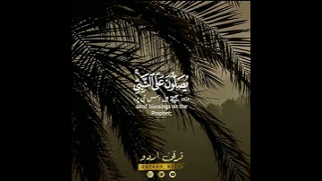 🤍إن الله وملائكته يصلون على النبي 🍃 سورة الأحزاب:٥٦|شريف مصطفى|Surah Ahzaab:56|Sherif Mostafa