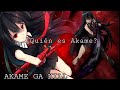¿Quién es Akame?/ Explicación y Arco del anime
