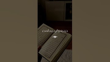 #ارح_قلبك #المصحف #قرآن #اكسبلور #quran #الحناجر_الذهبيه #ياسر_الدوسري #تلاوات #راحه_نفسيه #لايك