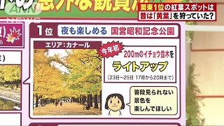 紅葉シーズン到来！人気スポットの意外な鑑賞法(18/11/12)