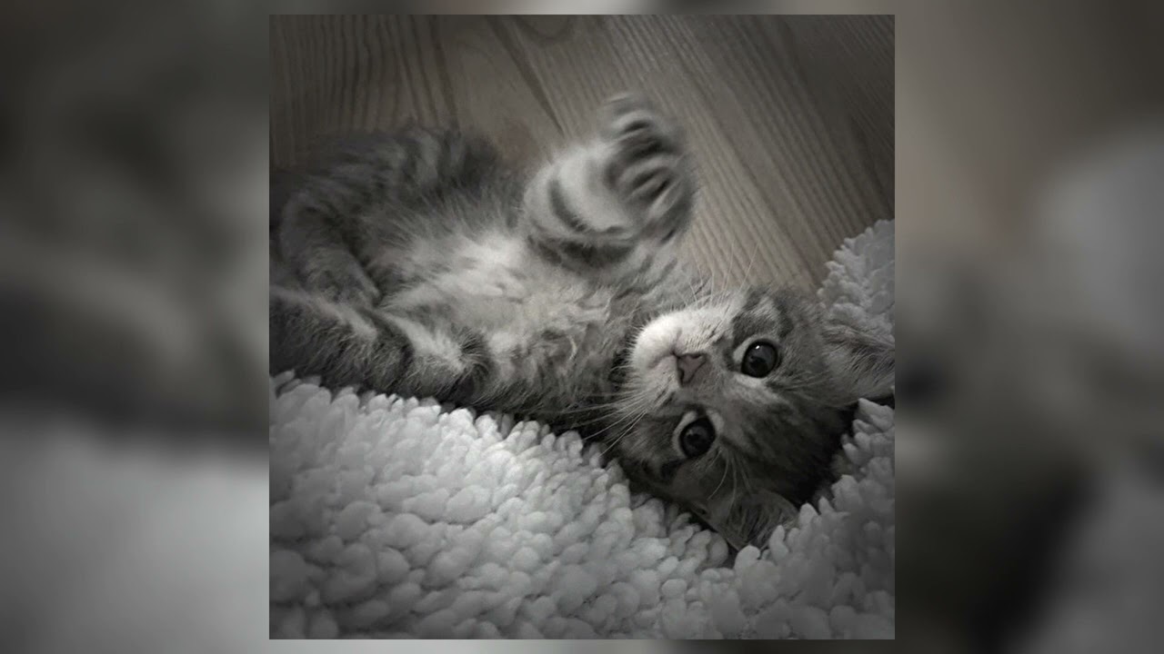 og buda, scally milano - большие бабки (speed up)