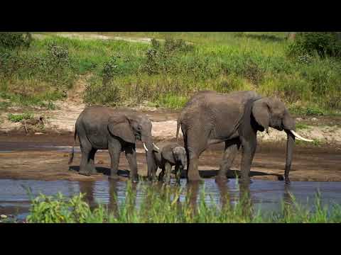 Nyange Adventures Promo Video