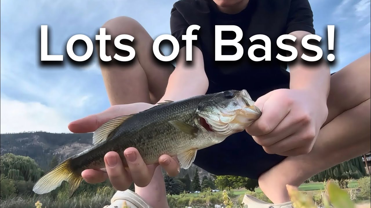 Bass fishing at a lake with super low water!