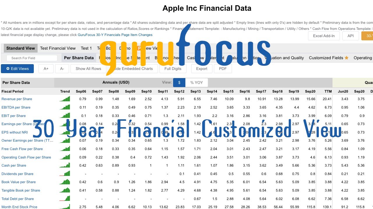 GuruFocus 30Y Financial Customized View YouTube