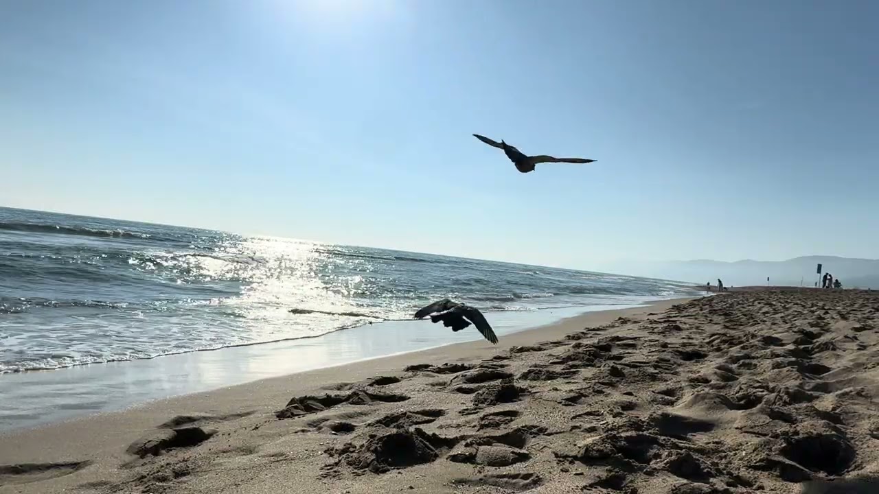 25 Minutes of Sunny Beach ASMR ☀️🌊 | Castelldefels, Barcelona | Gentle Waves & Soft Footsteps