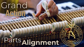 Grand Action Parts Alignment! #pianorepair #pianotuningschool