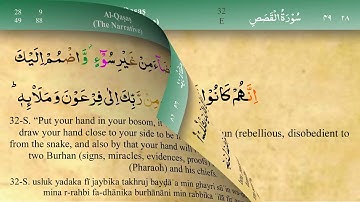 028 سورة القصص مكتوبة كاملة تجويد وترتيل بصوت مشاري راشد العفاسي