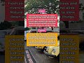 Aprende inglés fácil ��#ingles #clasesdeingles #inglesonline