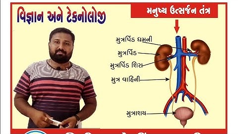 વિજ્ઞાન।।ઉત્સર્જન તંત્ર અને તેના અંગો।। kuldeep sir