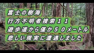 富士の樹海　行方不明者捜索 １１　遊歩道から僅か５０メートル　悲しい現実に遭遇しました