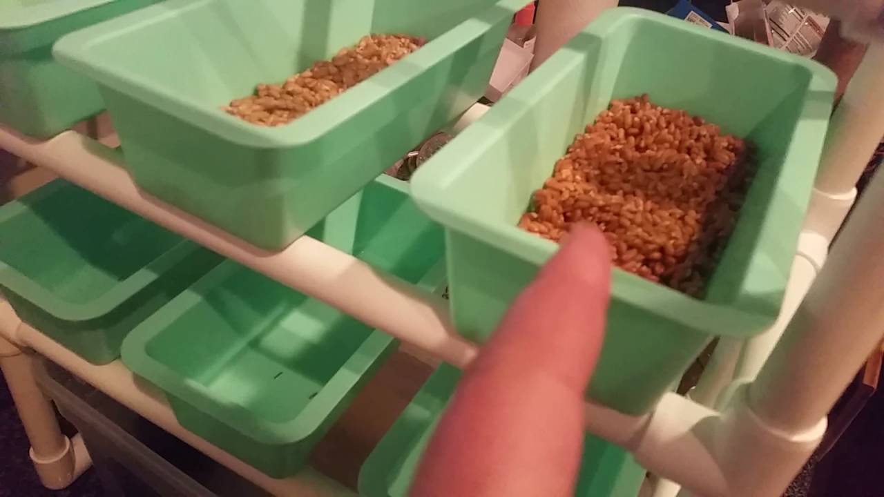 Fodder Project Fodder project(6) - YouTube