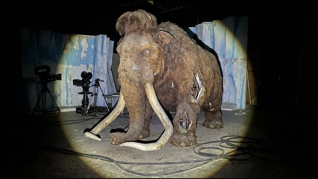 Real-life figures from the Ice Age (Found Footage)