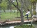 Attack of the Angry Goose!