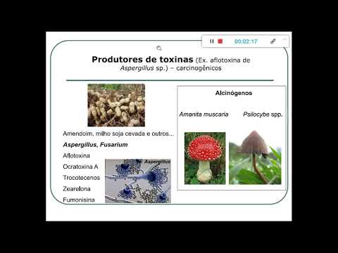 Vídeo: Os cogumelos absorvem toxinas?