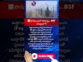 #bsf #border #infiltration #fog #winter #bengal #bangladesh #india #security #alert #firing #shorts