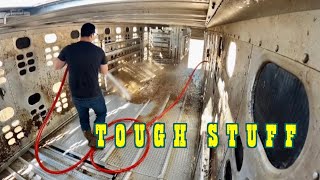 The Crappiest Job In Trucking — Cow Trailer Washout ASMR (ep.26)