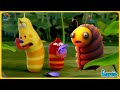 LARVA 2024: LOOKING FOR VIOLET | FUNNY CLIP from Animation LARVA