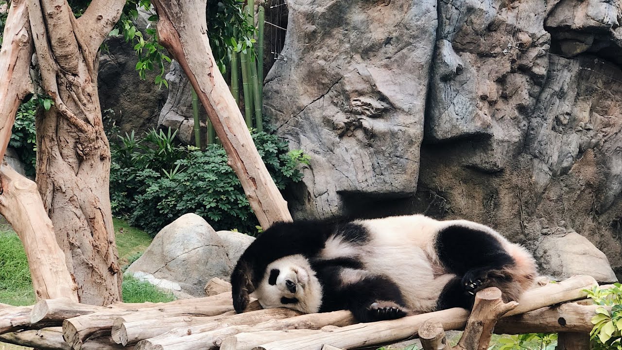 Урок в Hello Chineese + личный вопрос