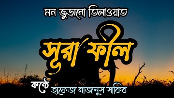 সূরা আল ফীল(سورة الفيل)||মন জুড়ানো তিলাওয়াত||Beautiful Quran tilawat Surah  Al-Fil ||