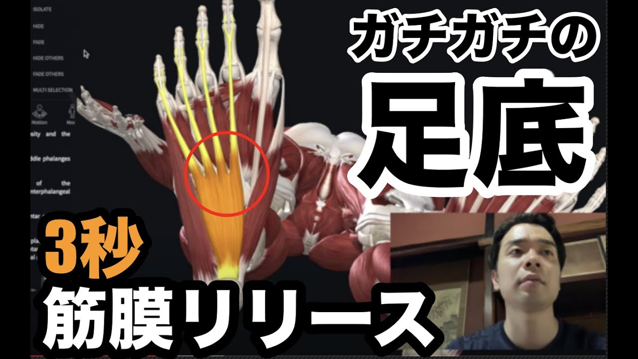 一撃必殺！ガチガチの足底を３秒でゆるゆるにする筋膜リリース↓【腰痛 治し方 ストレッチ】How to loosen the sole