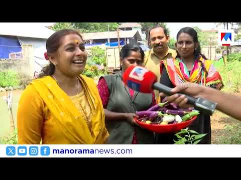 A repulsive eyesore turned into a bountiful vegetable garden #thrissur #vegetable