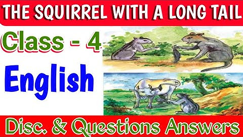 THE SQUIRREL 🐿️ WITH A LONG TAIL Class 4 English Lesson 4 QUESTION ANSWER 