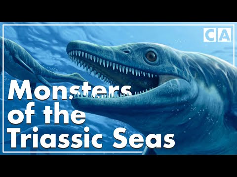 Forgotten Monsters of the Triassic Seas