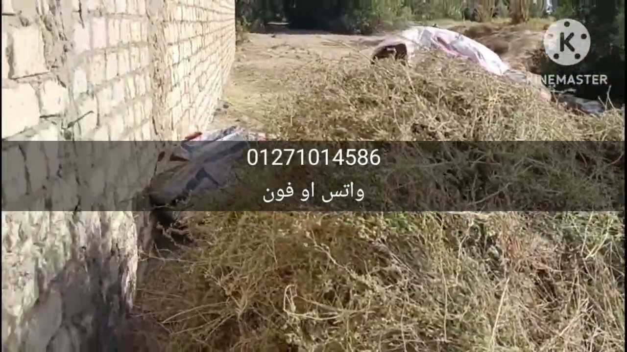 مزرعه 80 فدان لاصحاب الزوق الراقي 👌❤ 01271014586 م/مصطفى سمير  