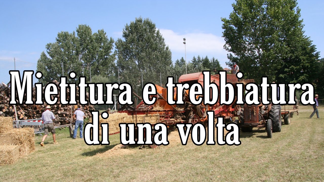 Mietitura e trebbiatura di una volta