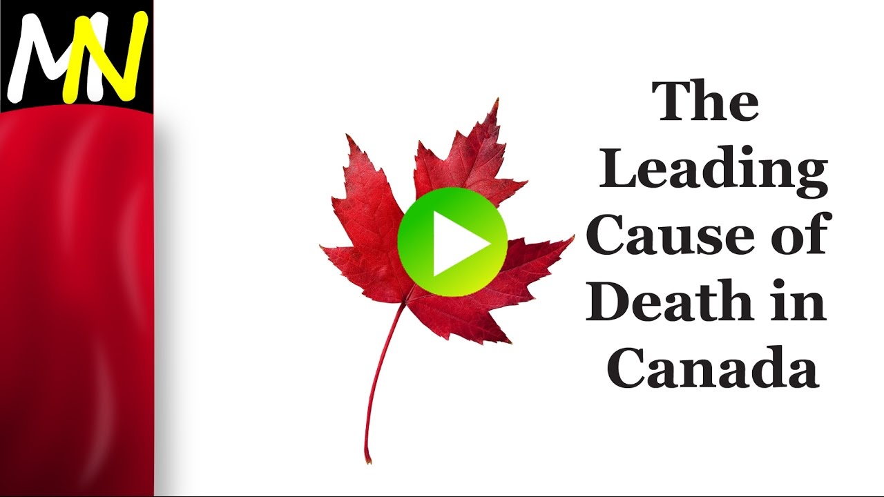 The Leading Cause of Death in Canada YouTube