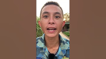 Cậu Bé Người Rừng P169 | Lùn Và Anh tippi tìm kiếm mũ vàng - Tippi TV  #tippitv