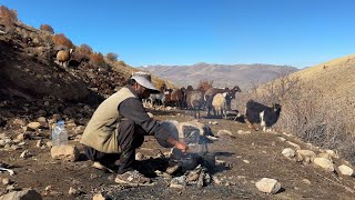 Nai̇mle İran Çoban Kavurma - Hirço Tavşan Kovaliyor