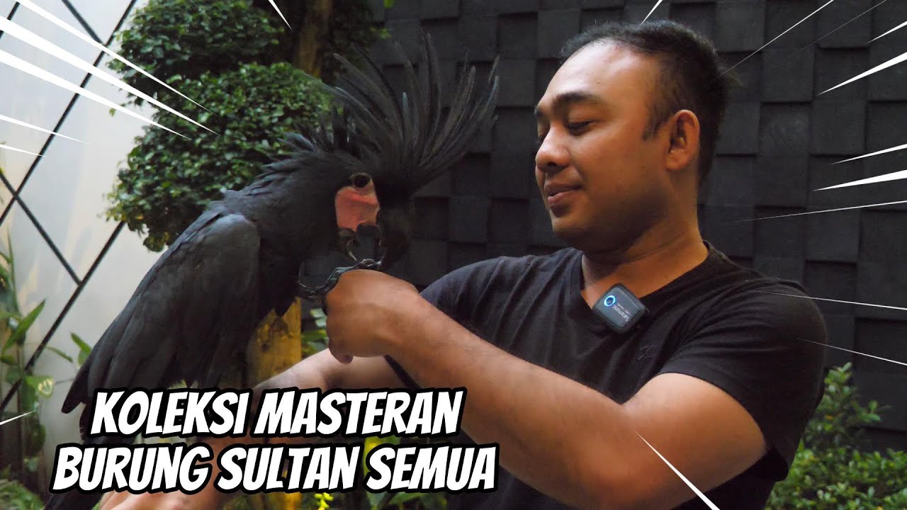 ISINYA GAK NGOTAK REVIEW MASTERAN DALAM AVIARY !!