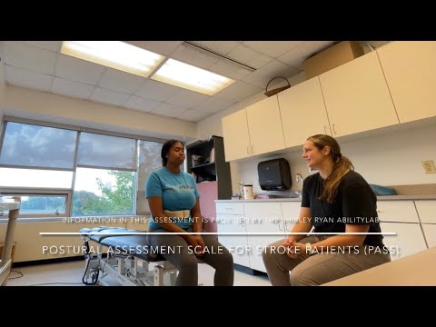 Postural Assessment Scale for Stroke Patients (PASS)