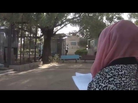 رامي الشريف يا ريدة صابك عين