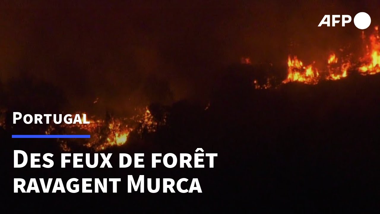 Portugal: des incendies font rage à Murca | AFP