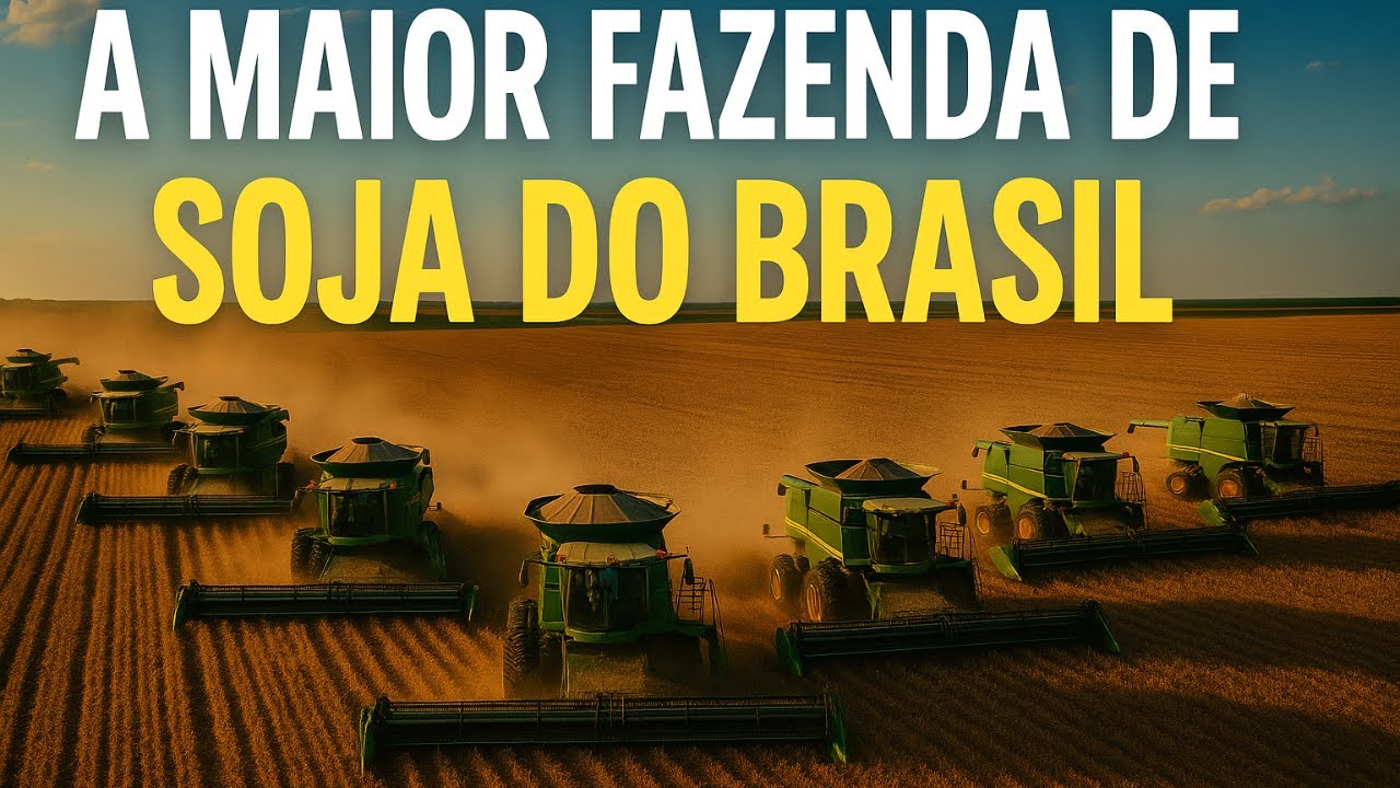 A MAIOR FAZENDA DE SOJA DO BRASIL