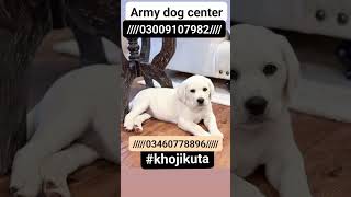 #army #dog #centar #Sialkot