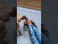 John Cena’s revenge for Rey gone wrong
