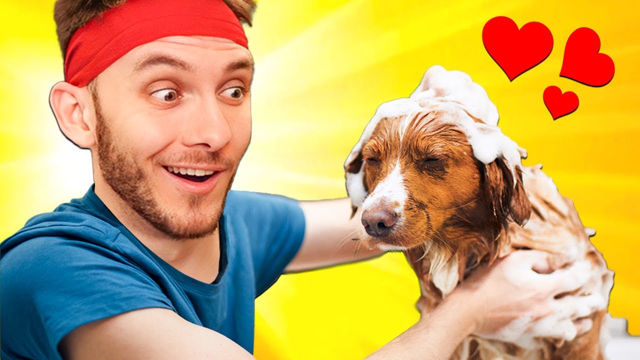 OTEVÍRÁM PSÍ ÚTULEK! 🐶😍| Animal Shelter Simulator