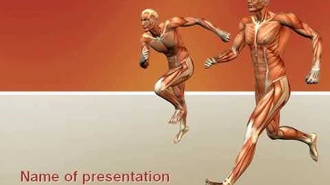 Muscular System PowerPoint Template by PoweredTemplate.com